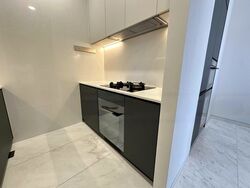 Cairnhill 16 (D9), Apartment #479828171